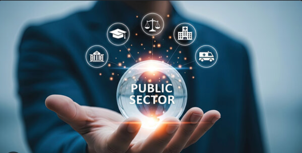 Government sector